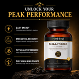 Shilajit Gold Tablet benefits for vitality, strength and stamina
