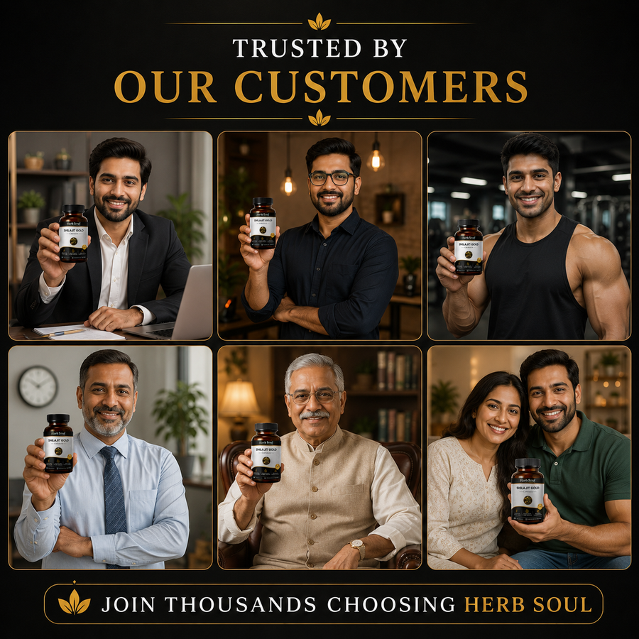 How to use Herb Soul Shilajit Gold Tablet - dosage directions