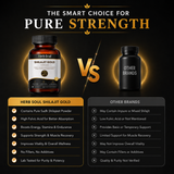 Shilajit Gold Tablet expected results timeline