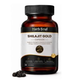 Shilajit Gold Tablet — Vitality, Strength & Stamina Support