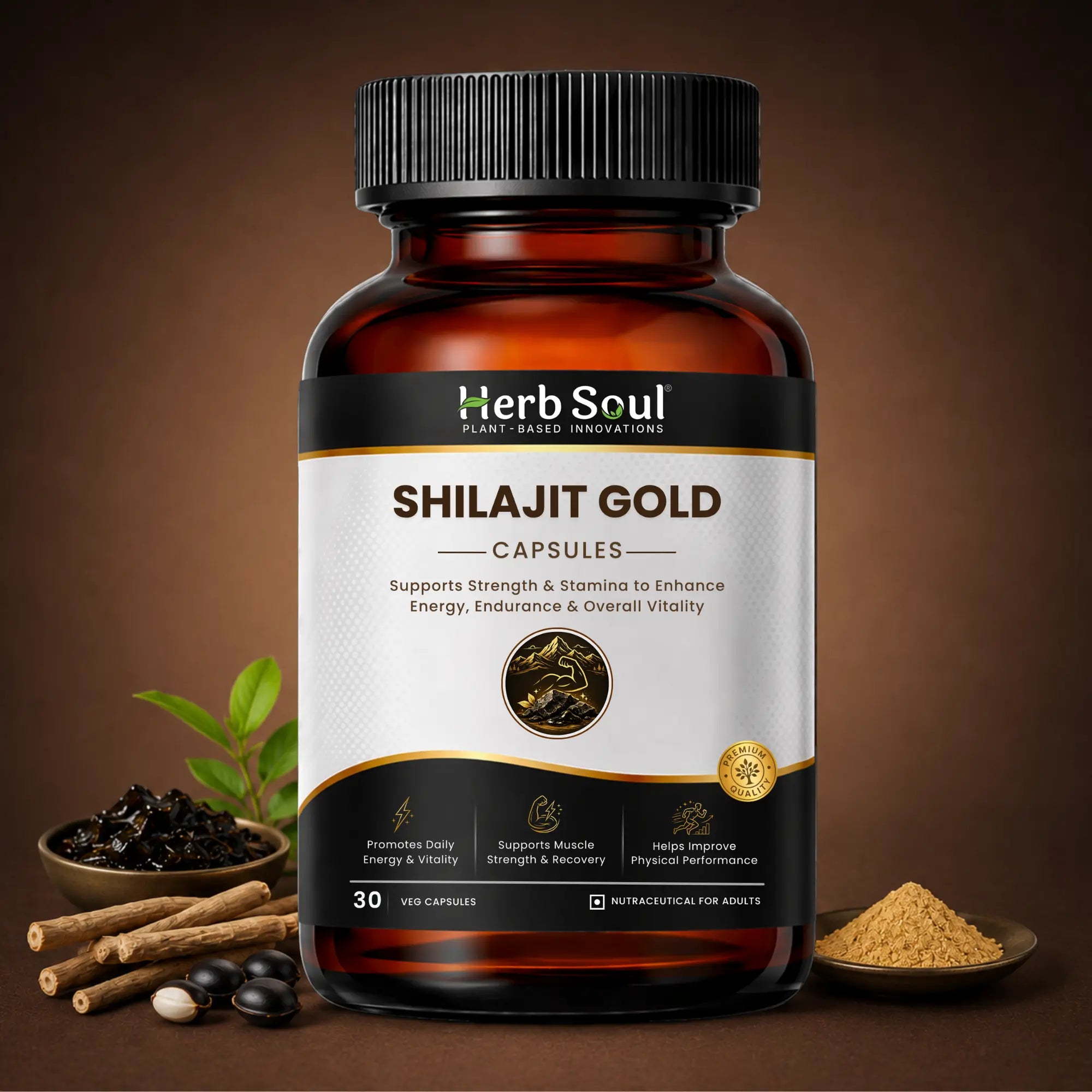 Shilajit Gold Capsule — Ayurvedic Vitality, Strength & Stamina Support