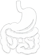 Digestion Care
