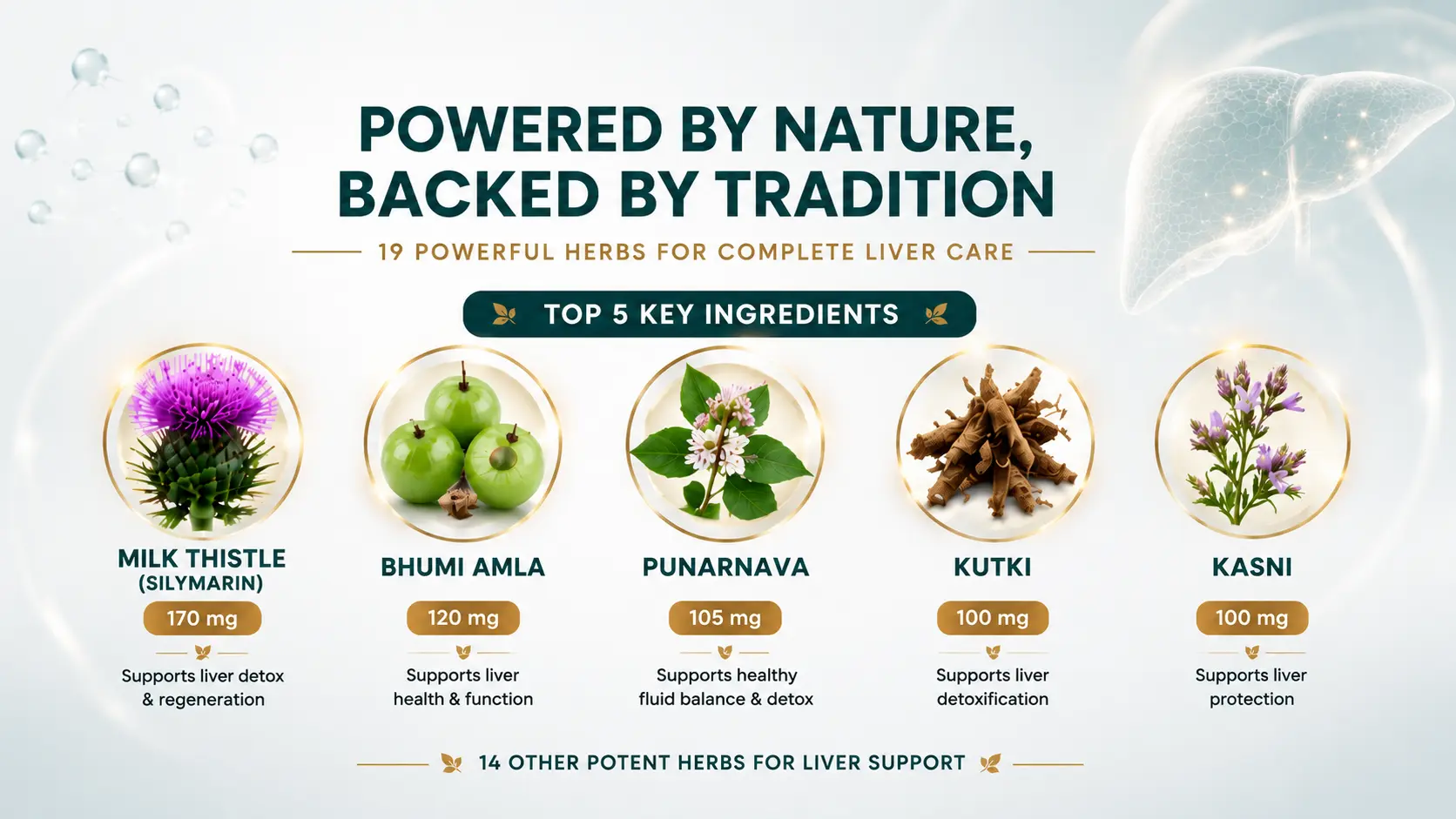 Ayurvedic liver care ingredients