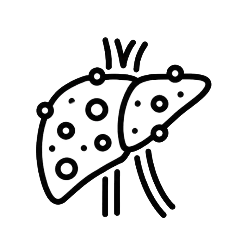 Reduces Fat Accumulation in Liver Cells