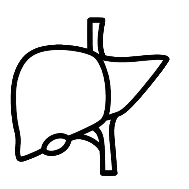 Supports Liver Cell Repair & Regeneration