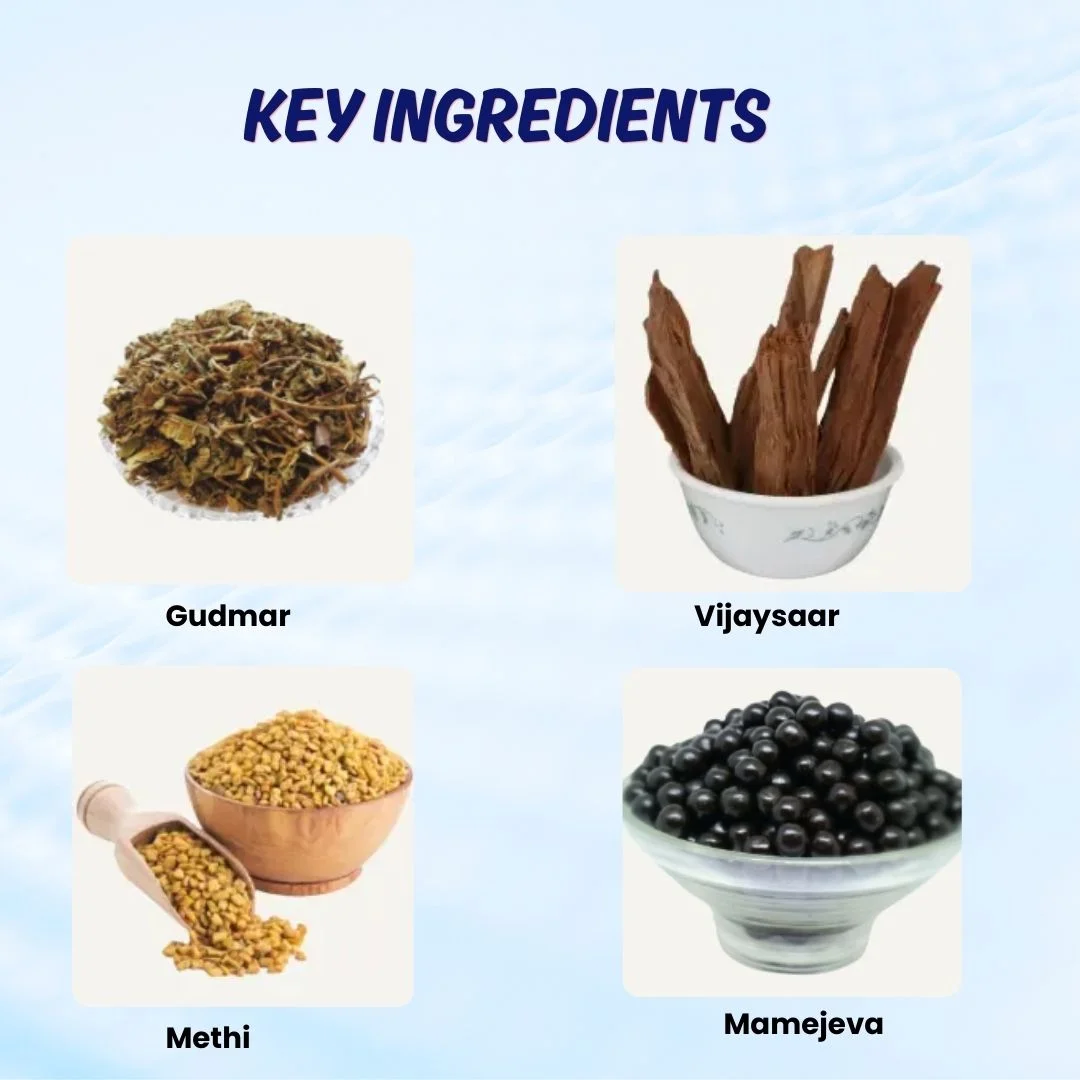 Diab Care Capsule Ingredients